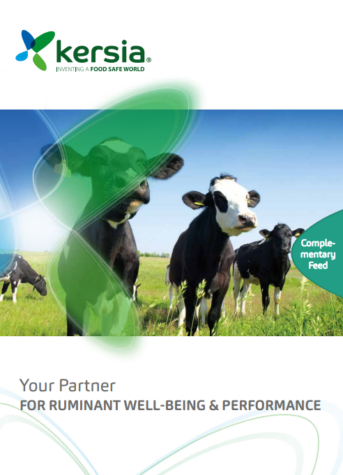 Complementary-Feed-Ruminant-brochure