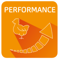 CF_POULTRY_Performance