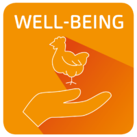 CF_POULTRY_Well being